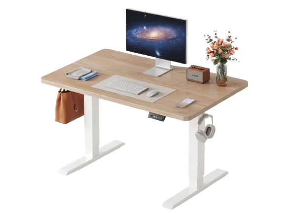FEZIBO Electric Standing Desk
